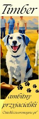 Osiedle czworonogów zakładka Timber