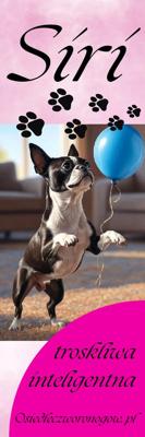 Osiedle czworonogów zakładka Siri