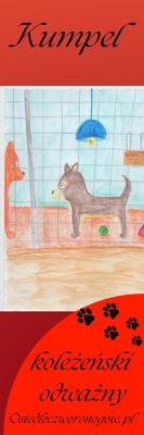 Osiedle czworonogów zakładka Kumpel