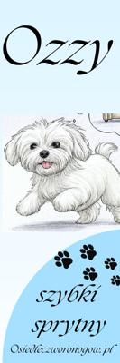Osiedle czworonogów zakładka Ozzy