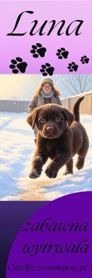 Osiedle czworonogów zakładka Luna