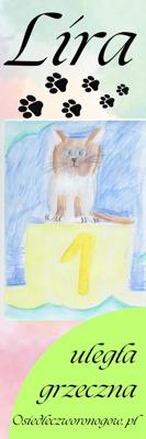 Osiedle czworonogów zakładka Lira