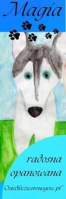 Magia zakładka niebieska. cechy: Radosna opanowana