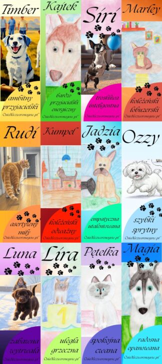 Osiedle czworonogów kolekcja zakładek do książek